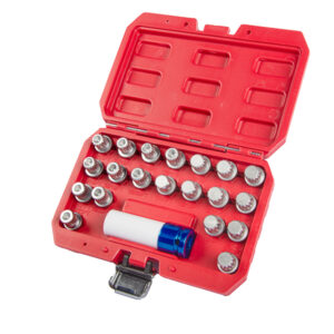 21pcs BMW wheel lock screw socket set